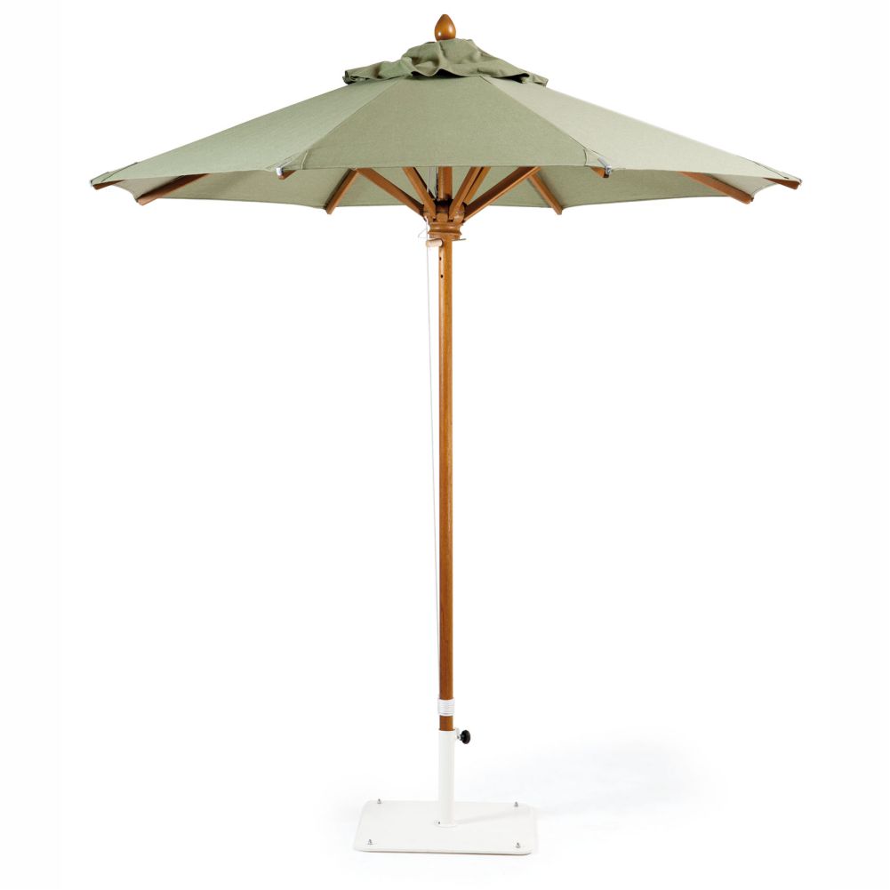 classic umbrella