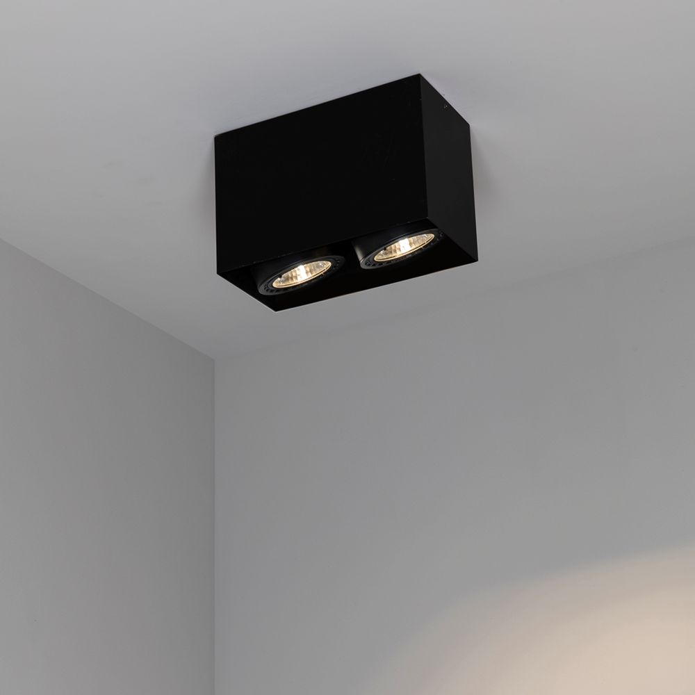 tecto 2l black ceiling lamp