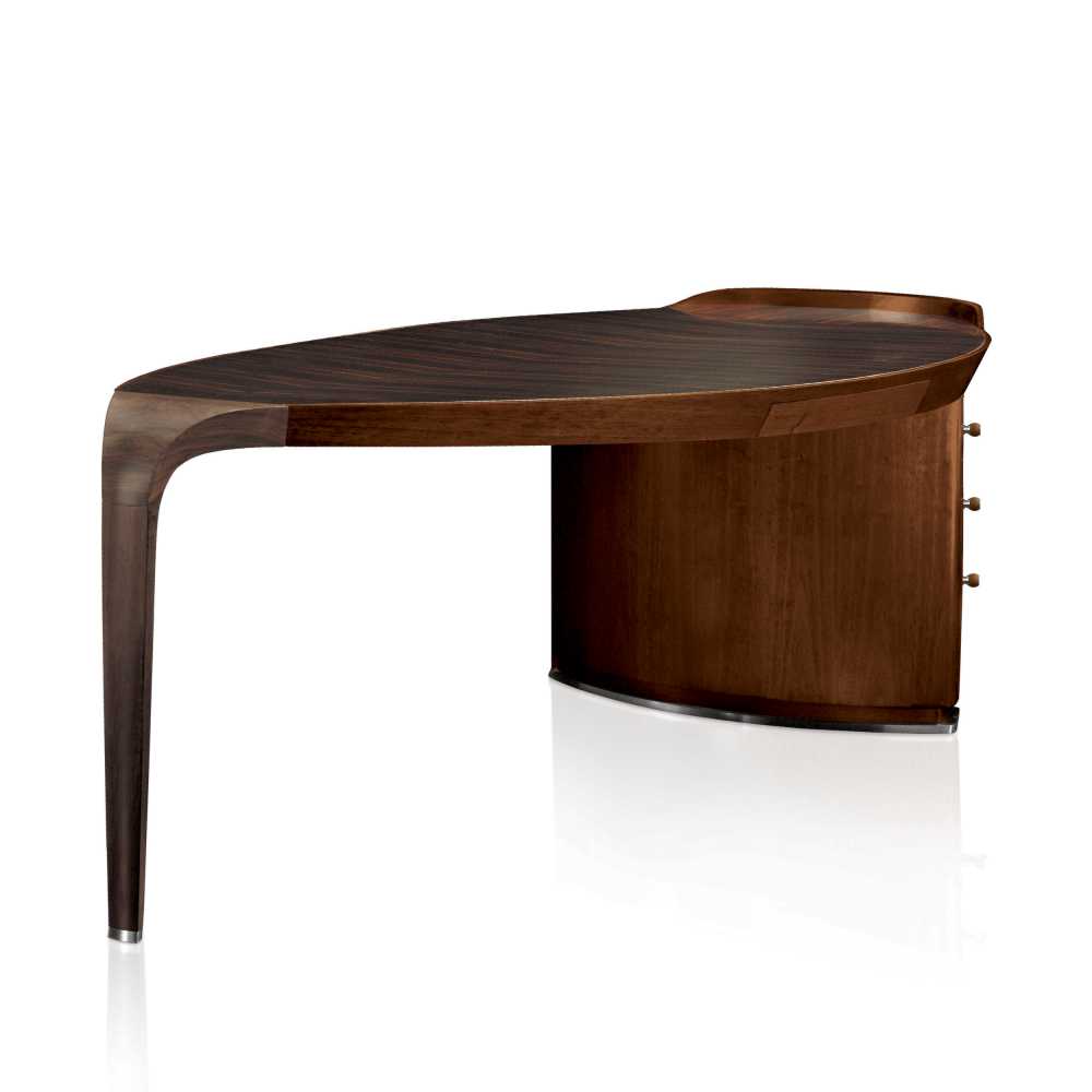 erasmo desk