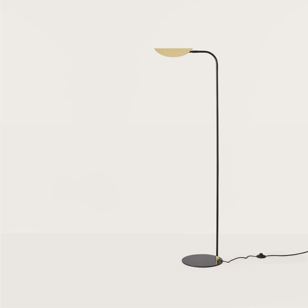 ficus floor lamp