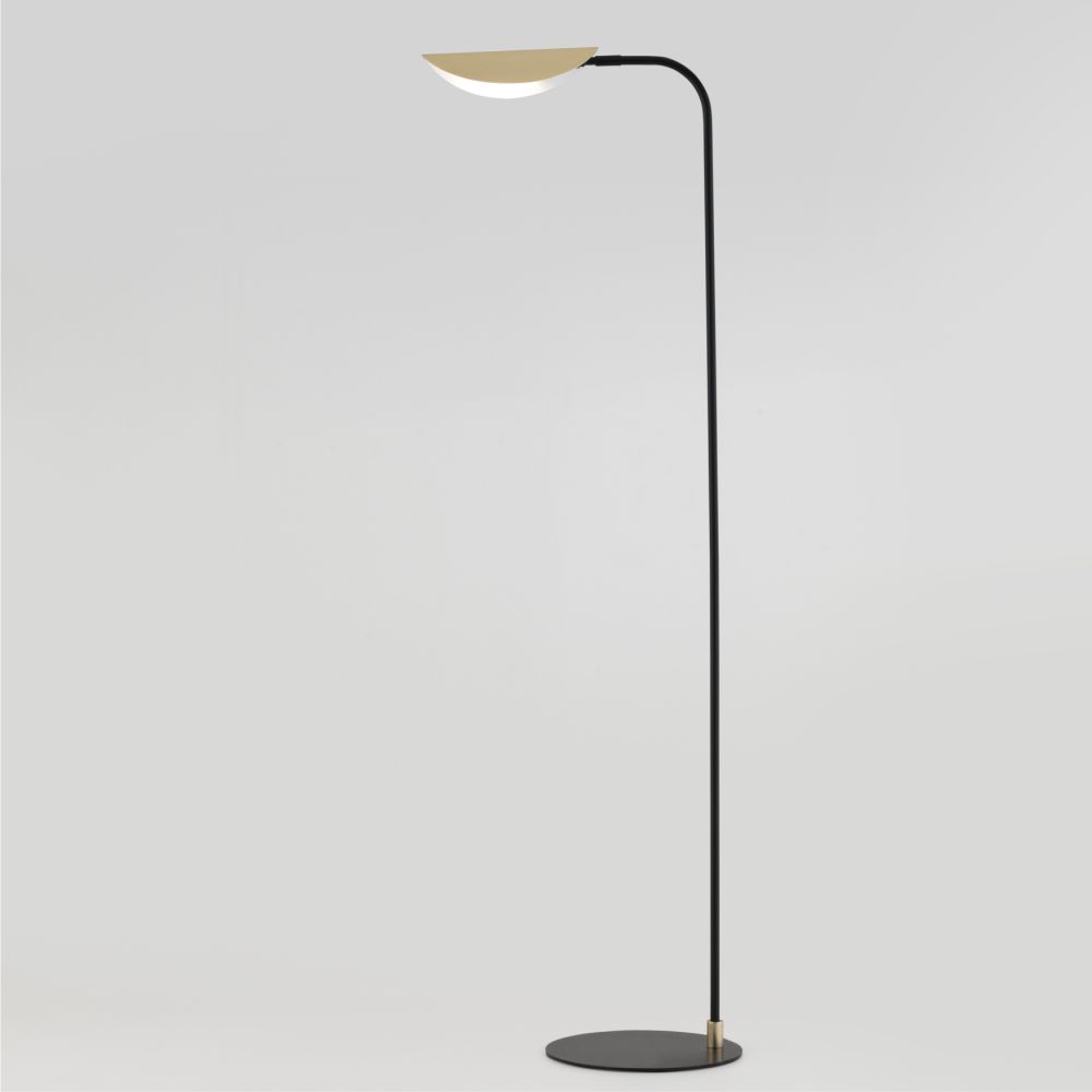 ficus floor lamp